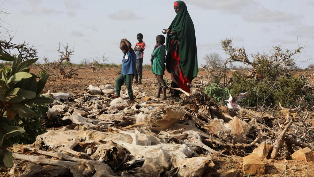 Somalia di Ambang Kelaparan