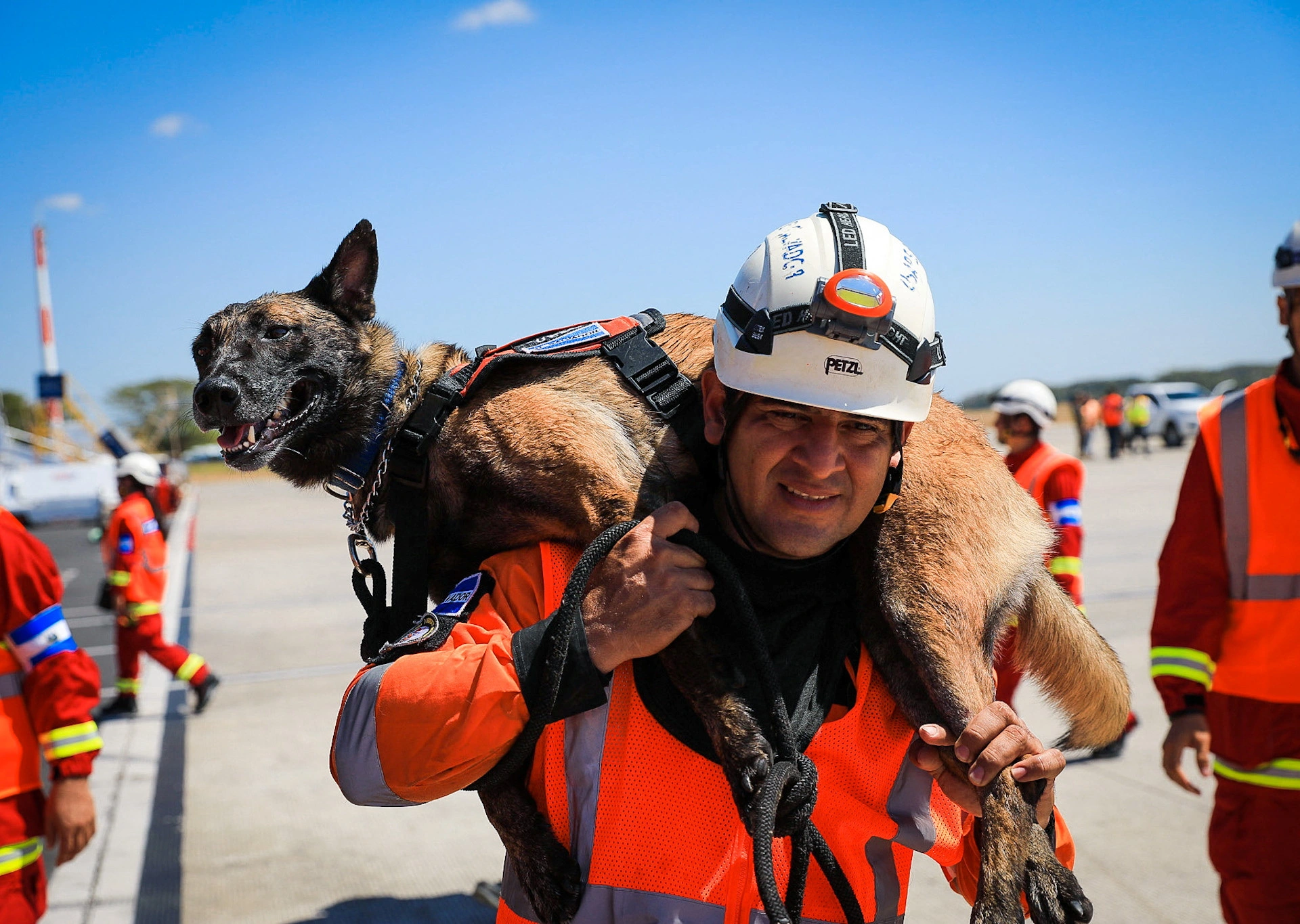 Anjing Jadi Pahlawan Evakuasi Korban Gempa Turki – Suriah